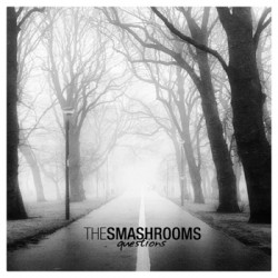 The Smashrooms - Questions 7 inch